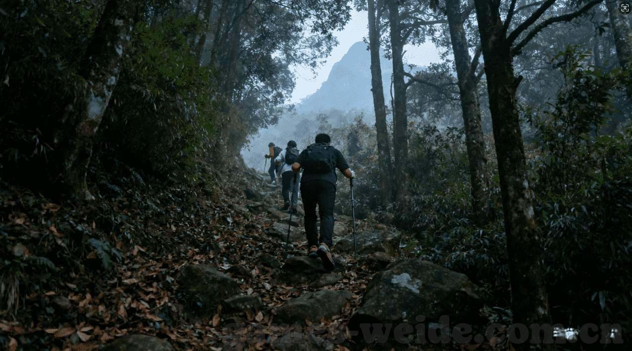 应用试客app下载-探索应用试客，一键下载，体验最新APP的便捷之旅-应用试客app下载